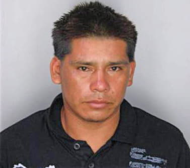Castaneda Julian - Hillsborough County, FL 