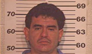 Dominguez Luis - Hidalgo County, TX 