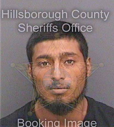 Amayo Mauricio - Hillsborough County, FL 