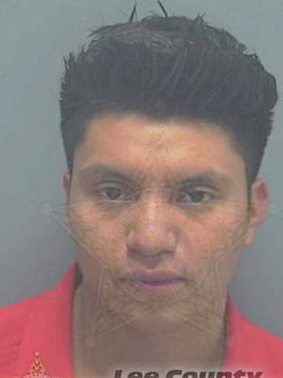 Pedro Israel - Lee County, FL 