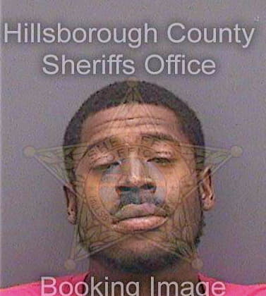 Lewis Shane - Hillsborough County, FL 