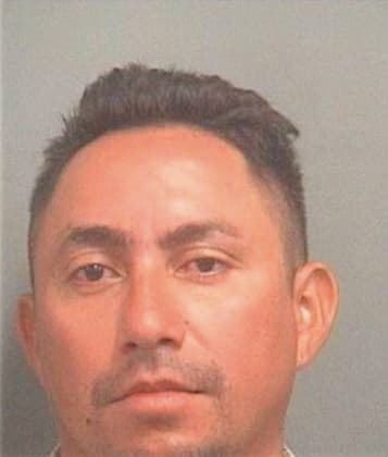 Portillo Guiermo - PalmBeach County, FL 