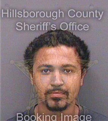 Whylly Roberto - Hillsborough County, FL 