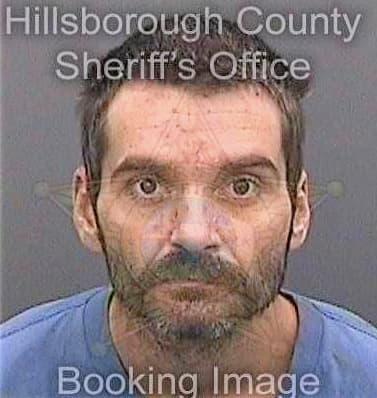 Lambert Shane - Hillsborough County, FL 