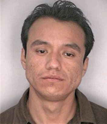 Vazquez Ismael - Hillsborough County, FL 