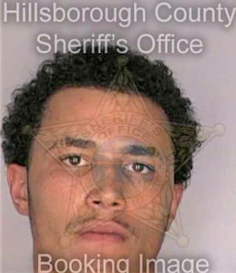 Hernandez Luis - Hillsborough County, FL 