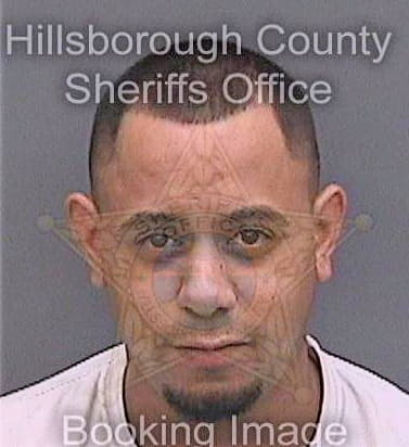 Mendez Marcos - Hillsborough County, FL 