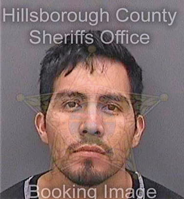 Salazargomez Valentin - Hillsborough County, FL 