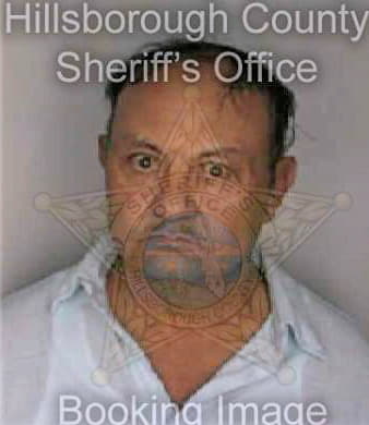 Martinez Alcides - Hillsborough County, FL 