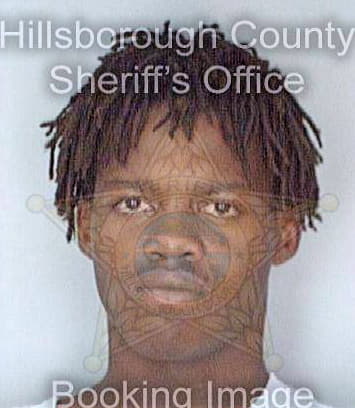 Simpson Darrell - Hillsborough County, FL 