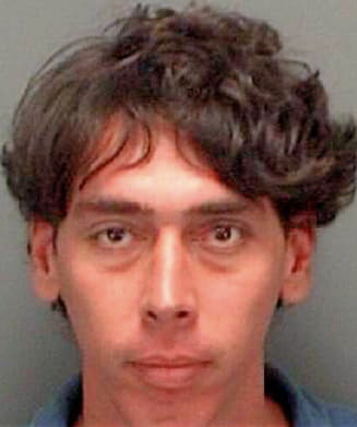 Fernandez David - Pinellas County, FL 