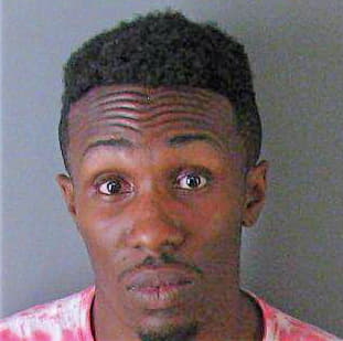 Wilson Dumetrice - Gaston County, NC 