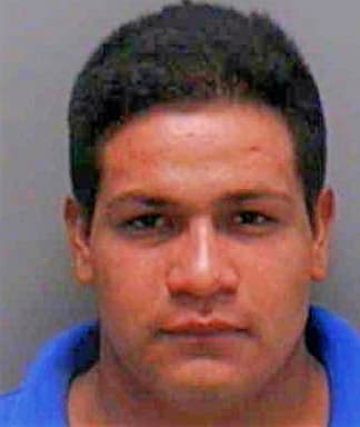 Ruiz-Mendoza Eduardo - Lee County, FL 