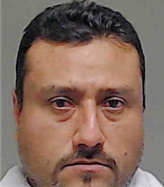 Cerda Felipe - Collin County, TX 