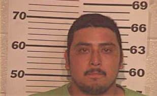 Gonzalez Gabriel - Hidalgo County, TX 