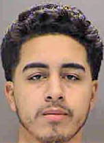 Cerda George - Sarasota County, FL 