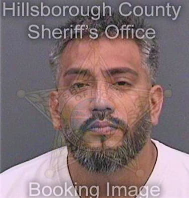 Gama Guillermo - Hillsborough County, FL 