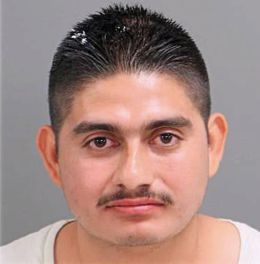Hernandez Marco-Antonio - Wake County, NC 
