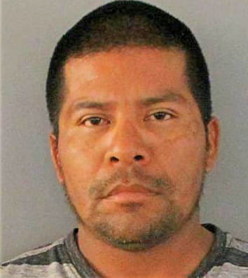 Gonzales Reynaldo - Charlotte County, FL 
