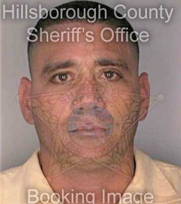 Jiminez Ricardo - Hillsborough County, FL 