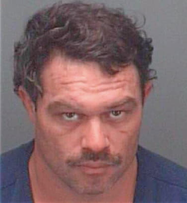 Schmalzried Chad - Pinellas County, FL 