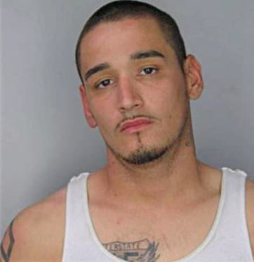 Sanchez Jose - Hillsborough County, FL 