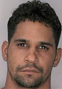 Garriga Luis - Hillsborough County, FL 