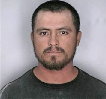 Maldonado Mario - Hillsborough County, FL 