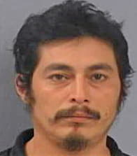 Reynoso-Villeda Tomas - Greene County, MO 