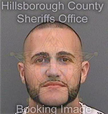 Gutierrezfernandez Carlos - Hillsborough County, FL 