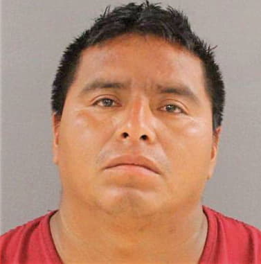 Pedro Julio - Knox County, TN 