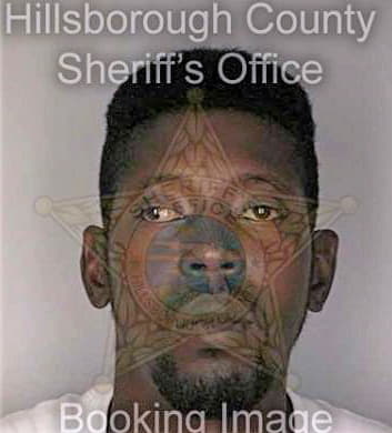 Howard Mark - Hillsborough County, FL 