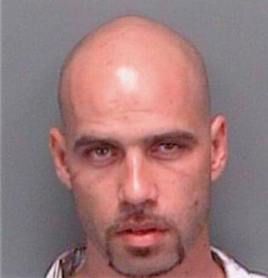 Adams Shane - Pinellas County, FL 