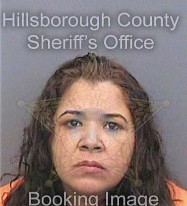 Torres Vickiana - Hillsborough County, FL 