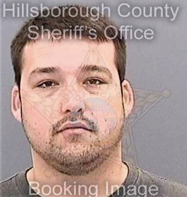 Bravo David - Hillsborough County, FL 