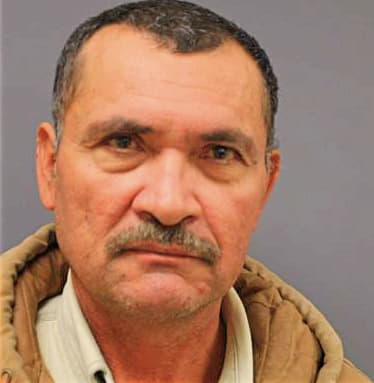 Pineda David - Dallas County, TX 