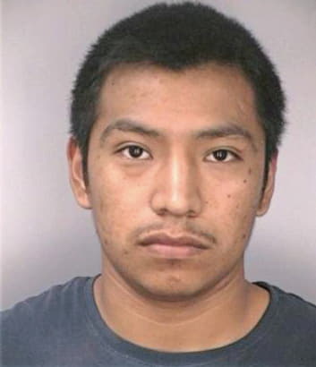 Delacruzmeza Gerardo - Hillsborough County, FL 