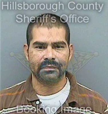 Segura Gilberto - Hillsborough County, FL 