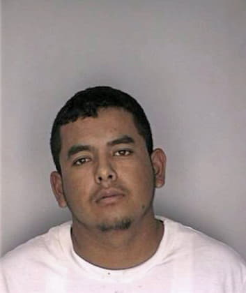 Campos Jorge - Hillsborough County, FL 