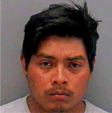 Alejandro Mendez - Lee County, FL 