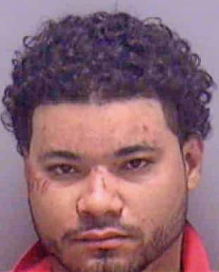Hernandez Pablo - Lee County, FL 