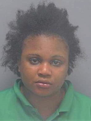 Celestin Marlyne - Lee County, FL 