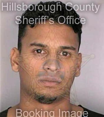 Samaroo Sanjay - Hillsborough County, FL 