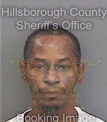 Brown Jerry - Hillsborough County, FL 