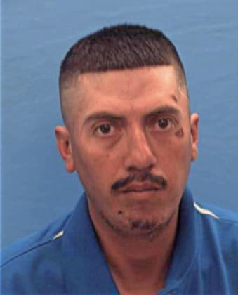 Hernandez Margarito - Guadalupe County, TX 
