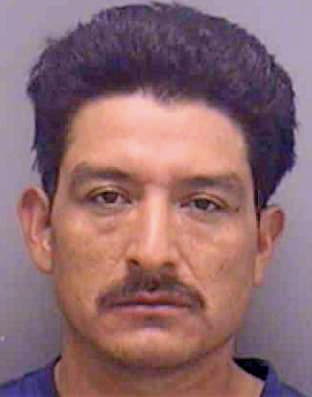 Diegotomas Basilio - Lee County, FL 