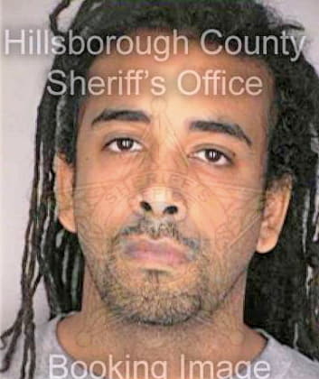 Smith Hollingwood - Hillsborough County, FL 