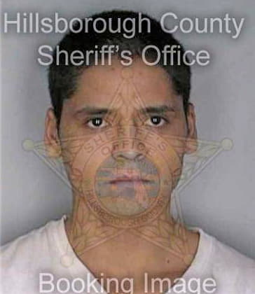 Hernandez Macario - Hillsborough County, FL 