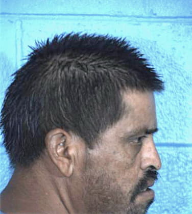 Arrellano Manuel - Williamson County, TX 