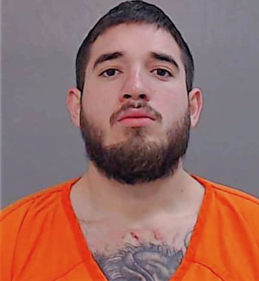 Lozano Alexis - Hidalgo County, TX 